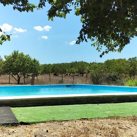 Rod Ranch Livestock - Stanza Doppia Con Letti Singoli Villa Campagnano Di Roma Eksteriør bilde