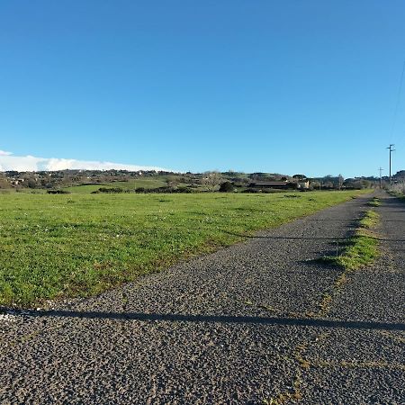 Rod Ranch Livestock - Stanza Doppia Con Letti Singoli Villa Campagnano Di Roma Eksteriør bilde