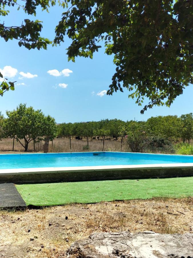 Rod Ranch Livestock - Stanza Doppia Con Letti Singoli Villa Campagnano Di Roma Eksteriør bilde